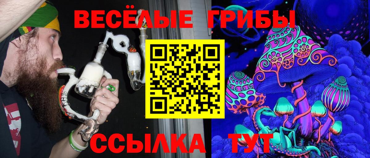 Псилоцибиновые грибы Psilocybe  Вход с VPN  Лесной 
